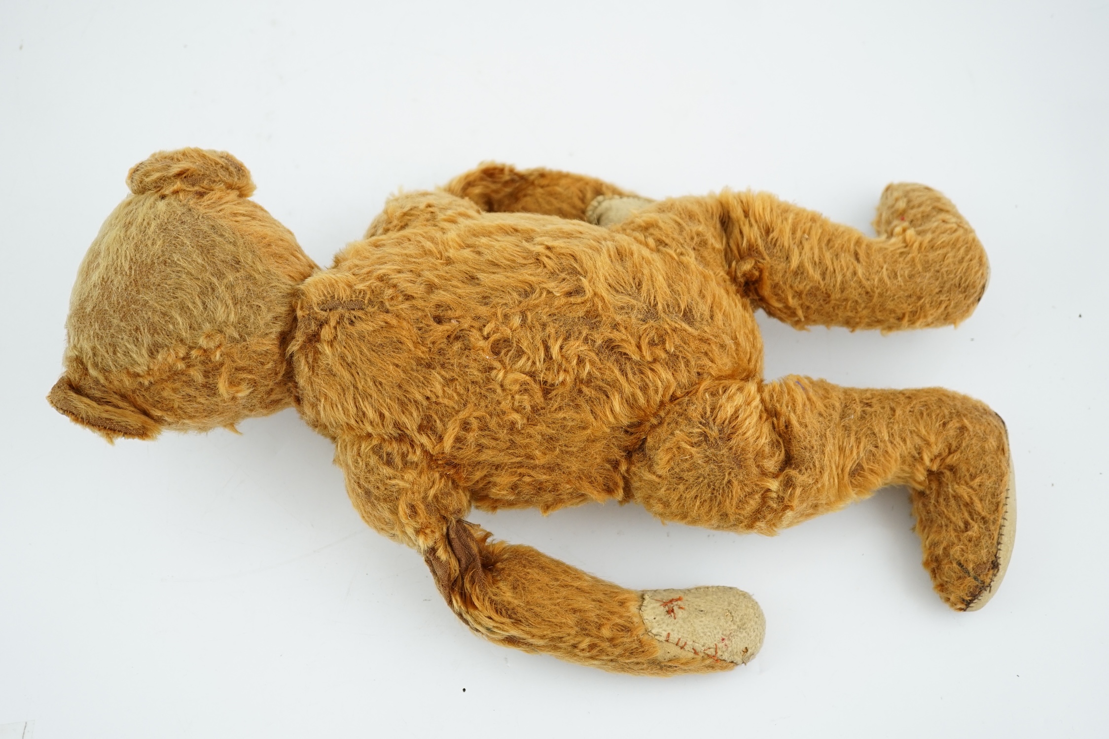 A cinnamon Steiff bear c.1908, with button paw pads, stuffing missing in arms, hair loss to head, - Bild 13 aus 14