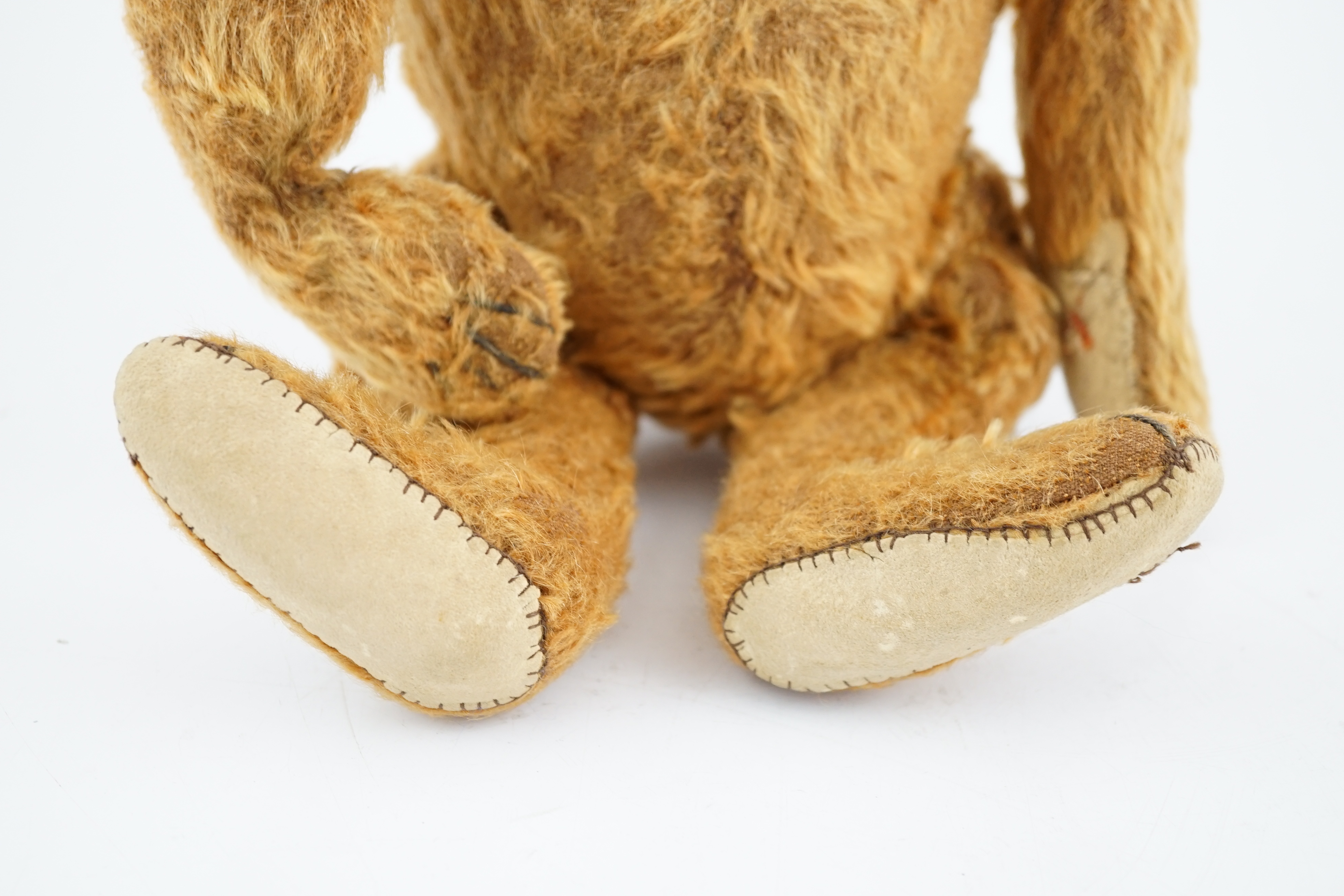 A cinnamon Steiff bear c.1908, with button paw pads, stuffing missing in arms, hair loss to head, - Image 4 of 14