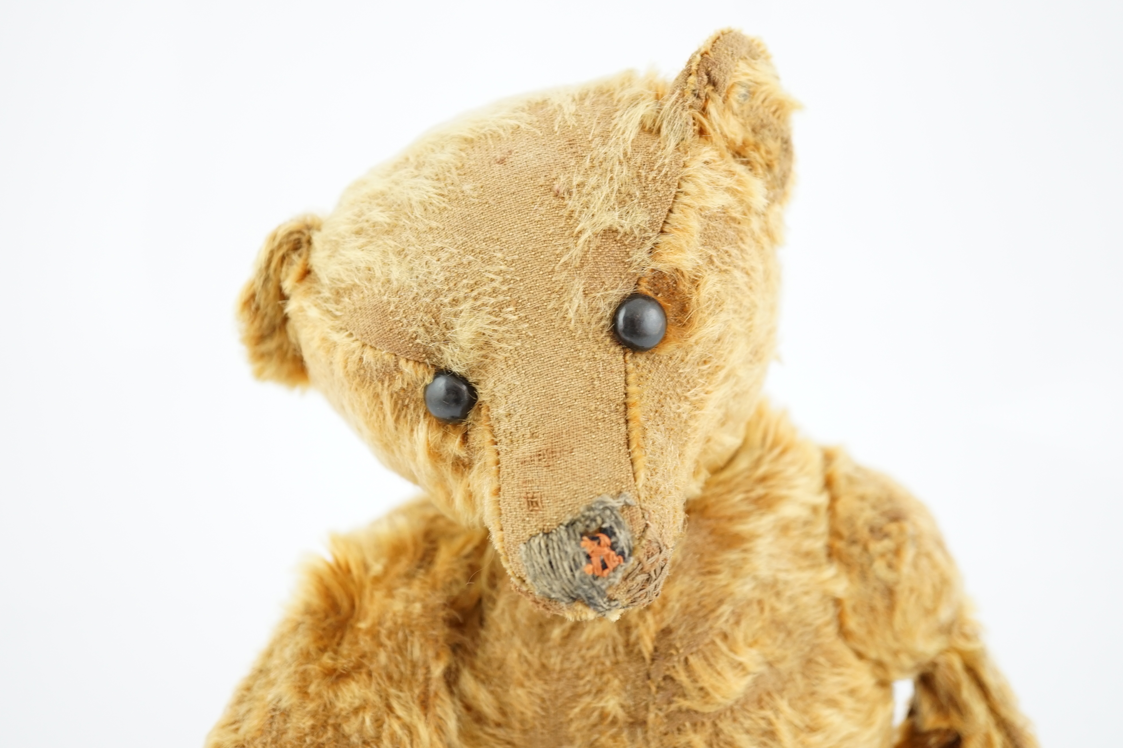 A cinnamon Steiff bear c.1908, with button paw pads, stuffing missing in arms, hair loss to head, - Bild 2 aus 14