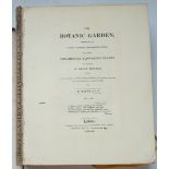 ° ° Maund, Benjamin - The Botanic Garden; Consisting of Highly Finished Representations of Hardy