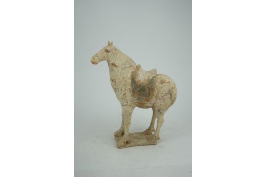 A Chinese painted pottery saddled horse, Tang Dynasty (AD 618-906), in red pottery that has been " - Image 7 of 7