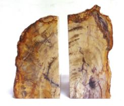 A PAIR OF PART-POLISHED PETRIFIED WOOD BOOKENDS 18.5cm high.