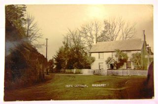 POSTCARDS - SUSSEX Approximately 357 cards, including real photographic The Swan, Fittleworth;