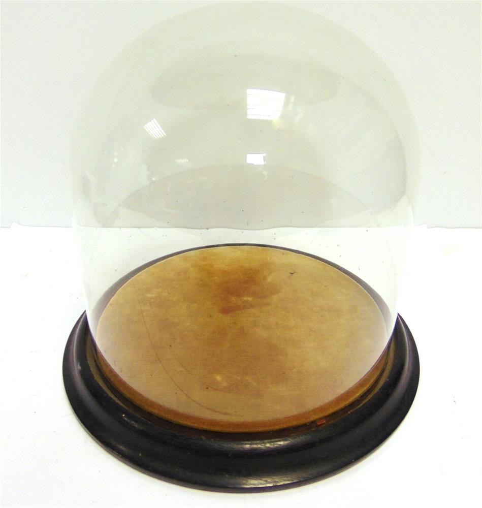 A CIRCULAR GLASS DOME approximately 22cm high, 20.5cm diameter, on an ebonized base, overall 24cm