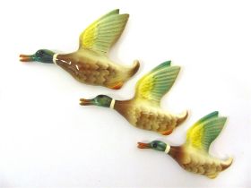 A KEELE STREET POTTERY GRADUATED SET OF THREE FLYING DUCKS with printed factory marks, the largest
