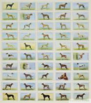 Set of forty Racehorse & Jockeys 1938 cigarette cards