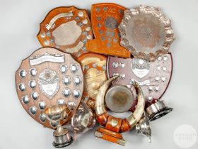 Collection of various white-metal trophies and shields