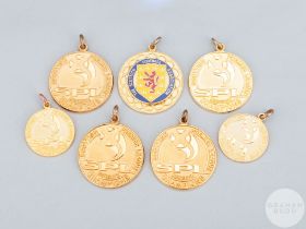 Ryan Conroy seven various yellow-metal Celtic winners medals 2003-04 to 2008-09