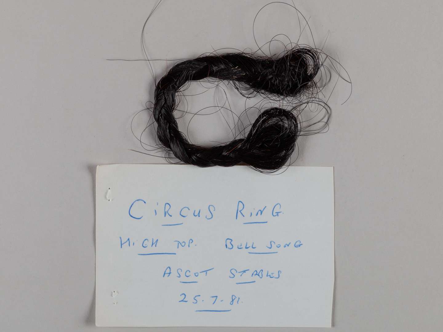 A plaited lock of hair from the racehorse and broodmare Circus Ring. - Image 2 of 2