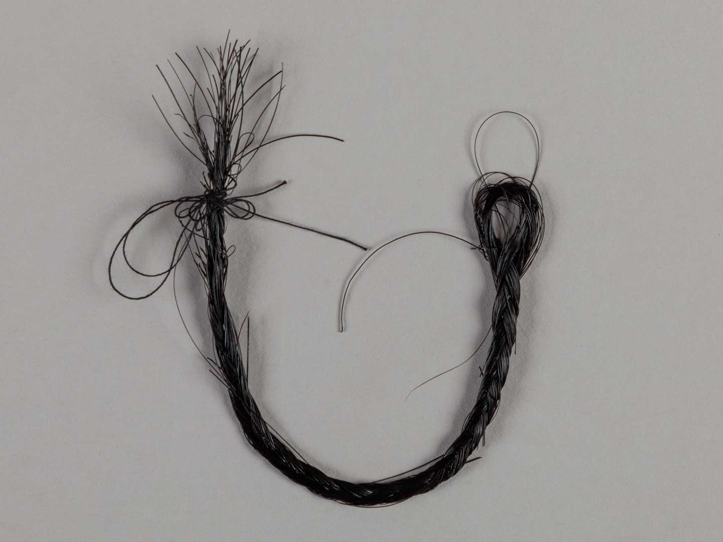 A plaited lock of hair from the racehorse and stallion Tudor Minstrel.