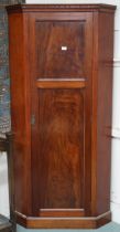 An early 20th century mahogany corner hall robe with moulded dentil cornice over single panelled