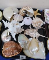 A collection of shells including Nautilus etc Condition Report:No condition report available.