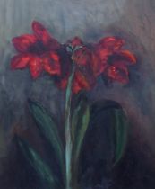 BETTY MACLAY (SCOTTISH CONTEMPORARY)  AMARYLLIS  Oil on board, signed lower right, 60 x 49cm