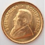 SOUTH AFRICA 1/10 Krugerrand 1981  Obverse bust of Paul Kruger facing right SUID-AFRIKA · SOUTH