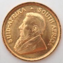 SOUTH AFRICA 1/10 Krugerrand 1981  Obverse bust of Paul Kruger facing right SUID-AFRIKA · SOUTH