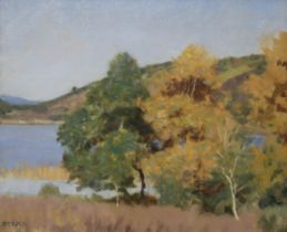 DUNCAN MCGREGOR WHYTE (SCOTTISH 1866-1953)  HIGHLANDS LOCH  Oil on canvas, signed lower left, 37 x