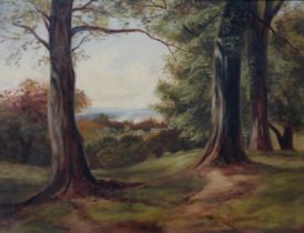 CHARLOTTE ADAM (SCOTTISH SCHOOL)  FOREST VIEW  Oil on canvas, 34 x 44cm  Signed on label verso