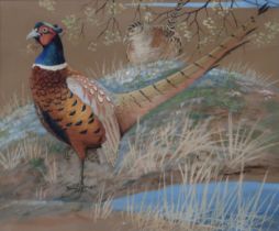 RALSTON GUDGEON RSW (SCOTTISH 1910-1984)  PAIR OF PHEASANTS  Watercolour, signed lower right, 49 x