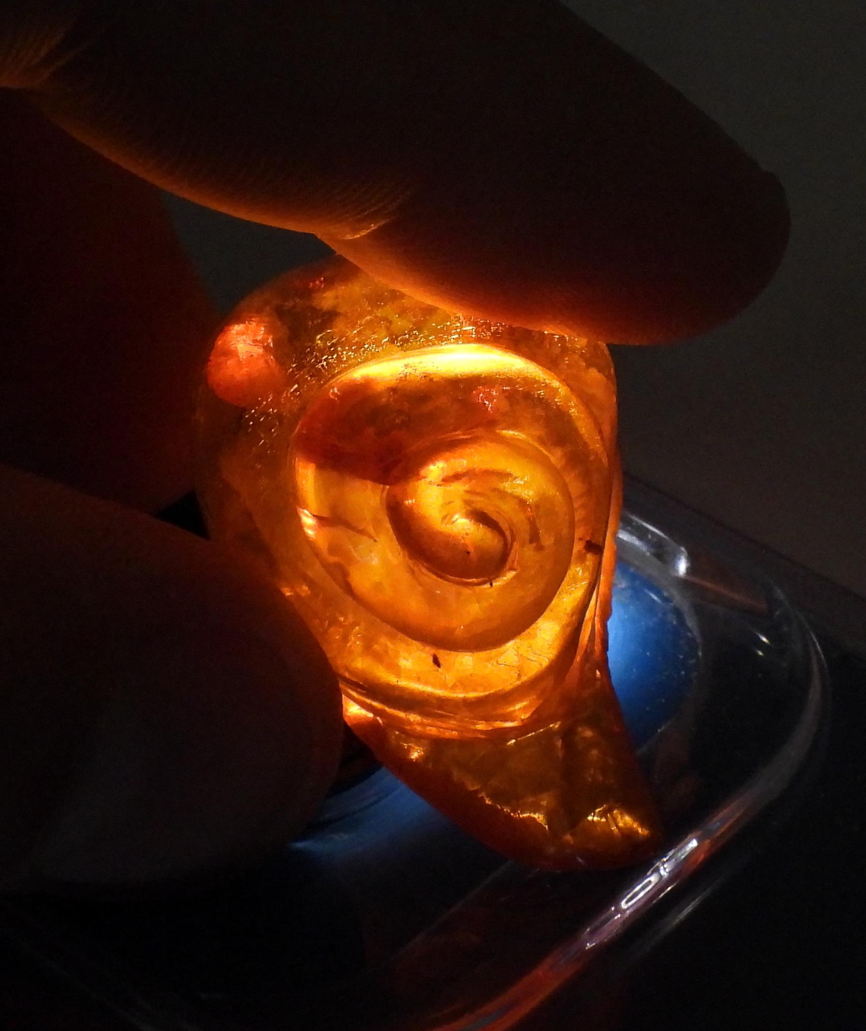 A collection of amber coloured items to include, a signed cat inro, a carved snail, amber specimens, - Image 6 of 16