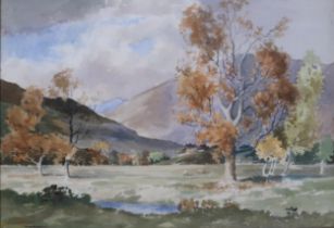 JOHN COCHRAN (SCOTTISH 20th CENTURY)  AUTUMN BALQUHIDDER  Watercolour, signed lower left, 30 x 40cm