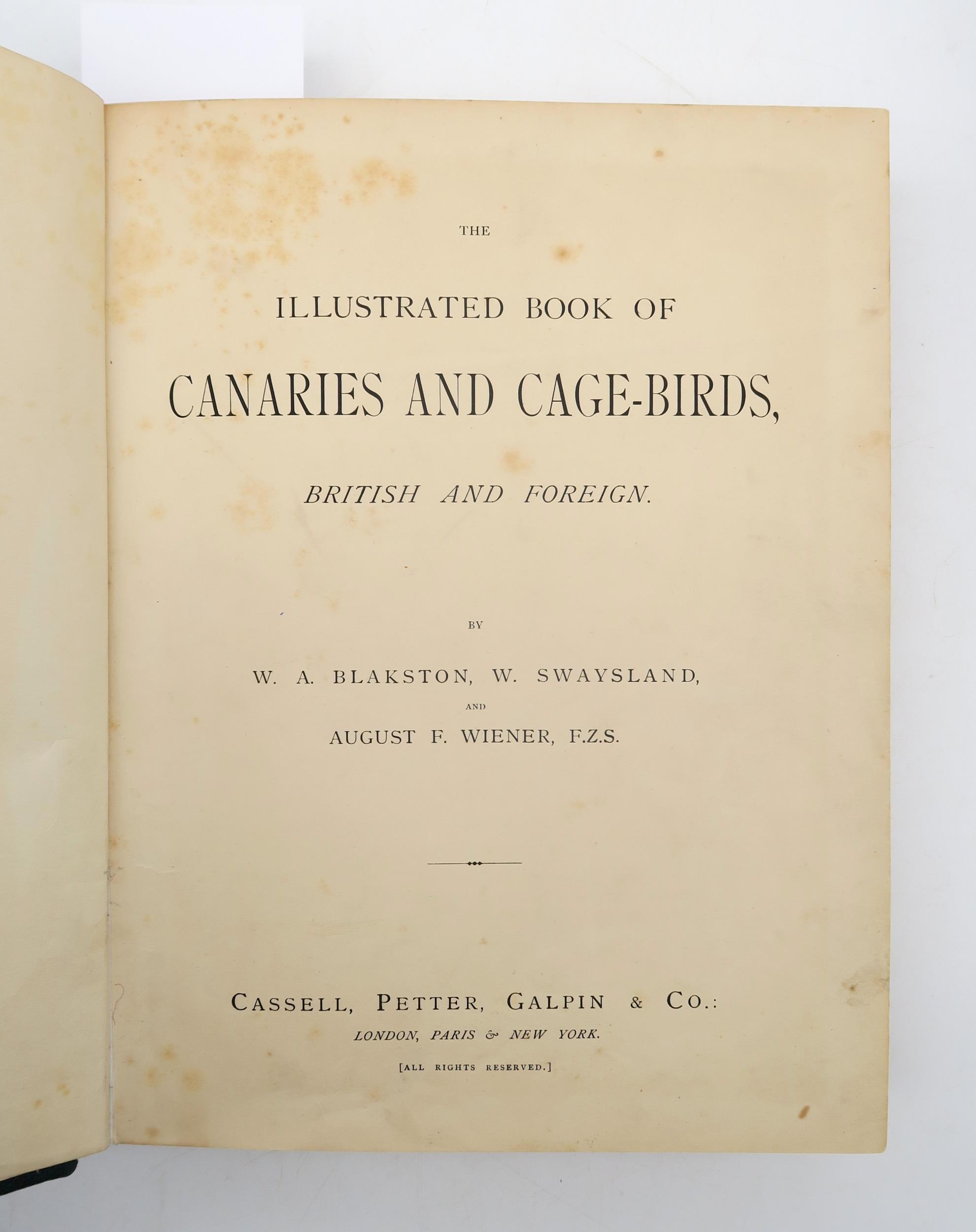 Blakston, W.A. et al. The Illustrated Book of Canaries and Cage-Birds Cassell, Petter, Galpin & Co., - Image 2 of 4