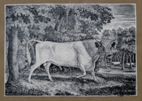 AFTER THOMAS BEWICK (ENGLISH 1753-1828)  THE WILD BULL  Print multiple, 16.5 x 23cm  Together with