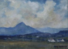 SARAH DAVIDSON (IRISH b.1946)  SPRING, MOUNT ERRIGAL, DONEGAL  Oil on board, signed lower right,