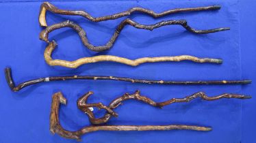 Folk Art: six gnarled rootwood walking sticks, one carved with a bird's head pommel and head of a