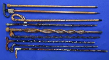 A collection of nine assorted walking sticks, to include an oak example carved with intertwined