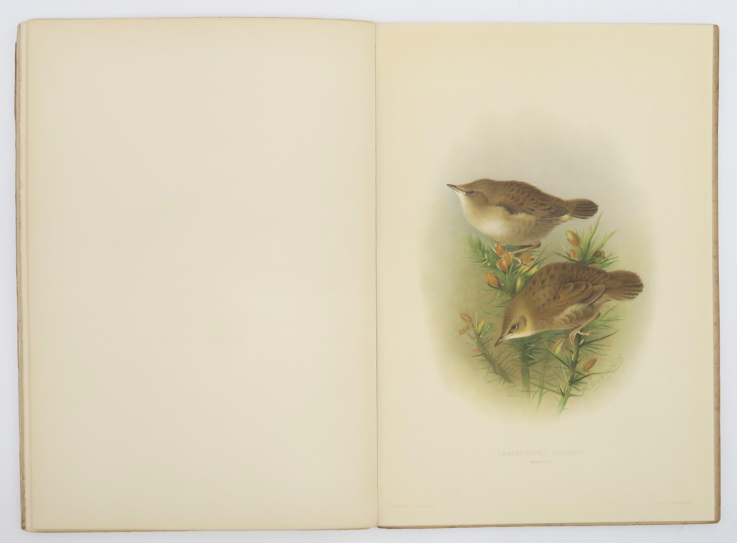ORNITHOLOGY Howard, H. Eliot; Gronvold, Henrik (illus.) The British Warbler: a History with Problems - Image 4 of 4