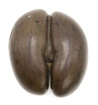 A COCO DE MER NUT (LODOICEA) Measuring approx. 30cm wide x 25cm wide Condition Report:Available upon