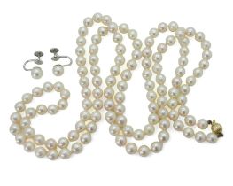 AN OPERA LENGTH OF UMINOKO PEARLS the pearls are white with a pink lustre, each pearl is approx 6.