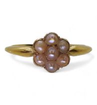 An 18ct gold pearl flower ring, with the makers stamp JBs possibly Jackson Brothers, size N,