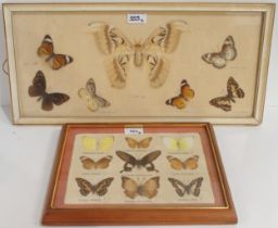 Two framed lepidoptery displays, the larger measuring approx. 54cm x 36cm (2) Condition Report:
