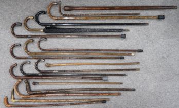 A large collection of walking sticks, to include many silver mounted examples, a gentleman's