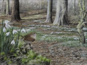 GRAHAM BRADSHAW (BRITISH CONTEMPORARY)  WREN WITH SNOW DROPS  Gouache, signed lower right, 25 x 33cm