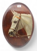 A painted white horse head portrait on oval wooden panel Condition Report:Available upon request