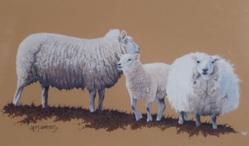 CONTEMPORARY SCHOOL  SHEEP FAMILY  Gouache, signed lower left 'A.M. Briggs', 21 x 34cm   Together