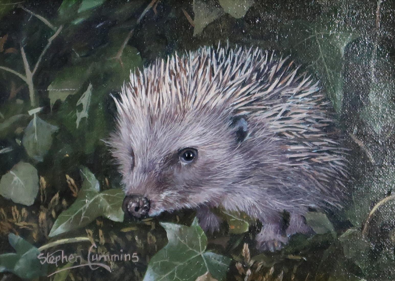 STEPHEN CUMMINGS (CONTEMPORARY SCHOOL)  HEDGEHOG  Oil on board, signed lower left, 12 x 17cm