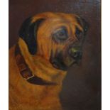 SCOTTISH SCHOOL  PORTRAIT OF A DOG  Oil on canvas, dated 1890, 'Cam' inscribed, 24 x 20cm