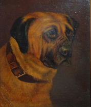 SCOTTISH SCHOOL  PORTRAIT OF A DOG  Oil on canvas, dated 1890, 'Cam' inscribed, 24 x 20cm