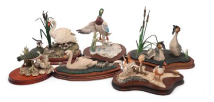A collection of Border Fine Arts bird sculptures including a wading group of Sanderling, Curlew,