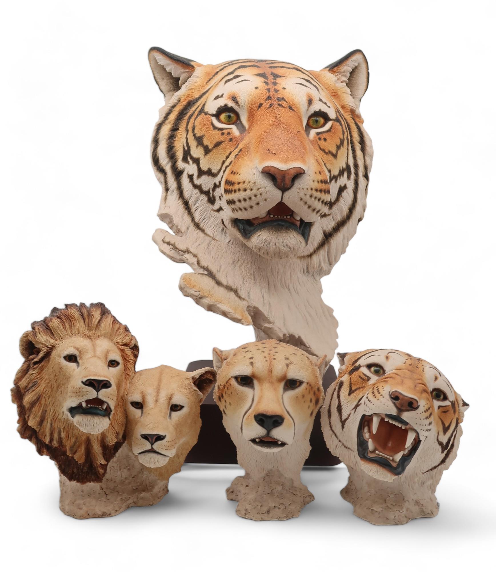 A Sherratt & Simpson life size head of a tiger, together with smaller examples of Lions, Cheetah and