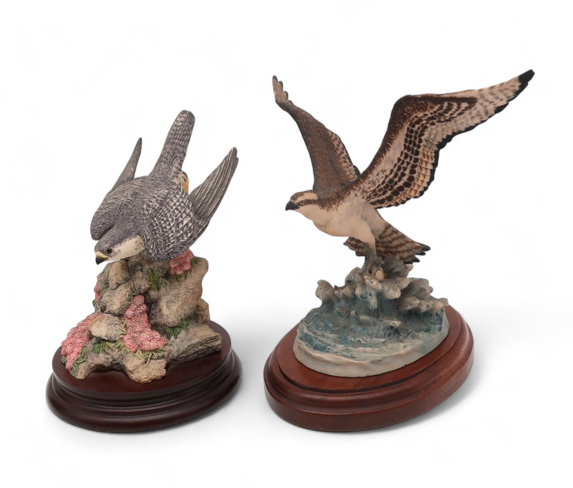 A group of Border Fine Arts models of birds of prey including an Osprey, Kestrel and chicks, - Image 3 of 5