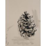 FLORENCE JAMIESON (SCOTTISH 1925-1971)  PINECONE  Watercolour, signed lower left, 46 x 35cm  Title