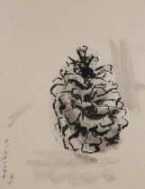 FLORENCE JAMIESON (SCOTTISH 1925-1971)  PINECONE  Watercolour, signed lower left, 46 x 35cm  Title