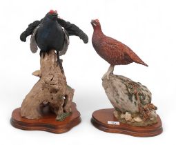Two Wildtrack Limited Edition models of birds including Blackcock, 111/500 and a Grouse on rock,