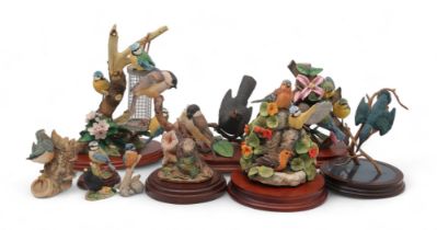 A group of Border Fine Arts bird groups including two limited edition figures, Blackbird by David