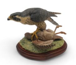 A Limited Edition Border Fine Arts group Peregrine Falcon designed by Victor Hayton, no 152/250 with