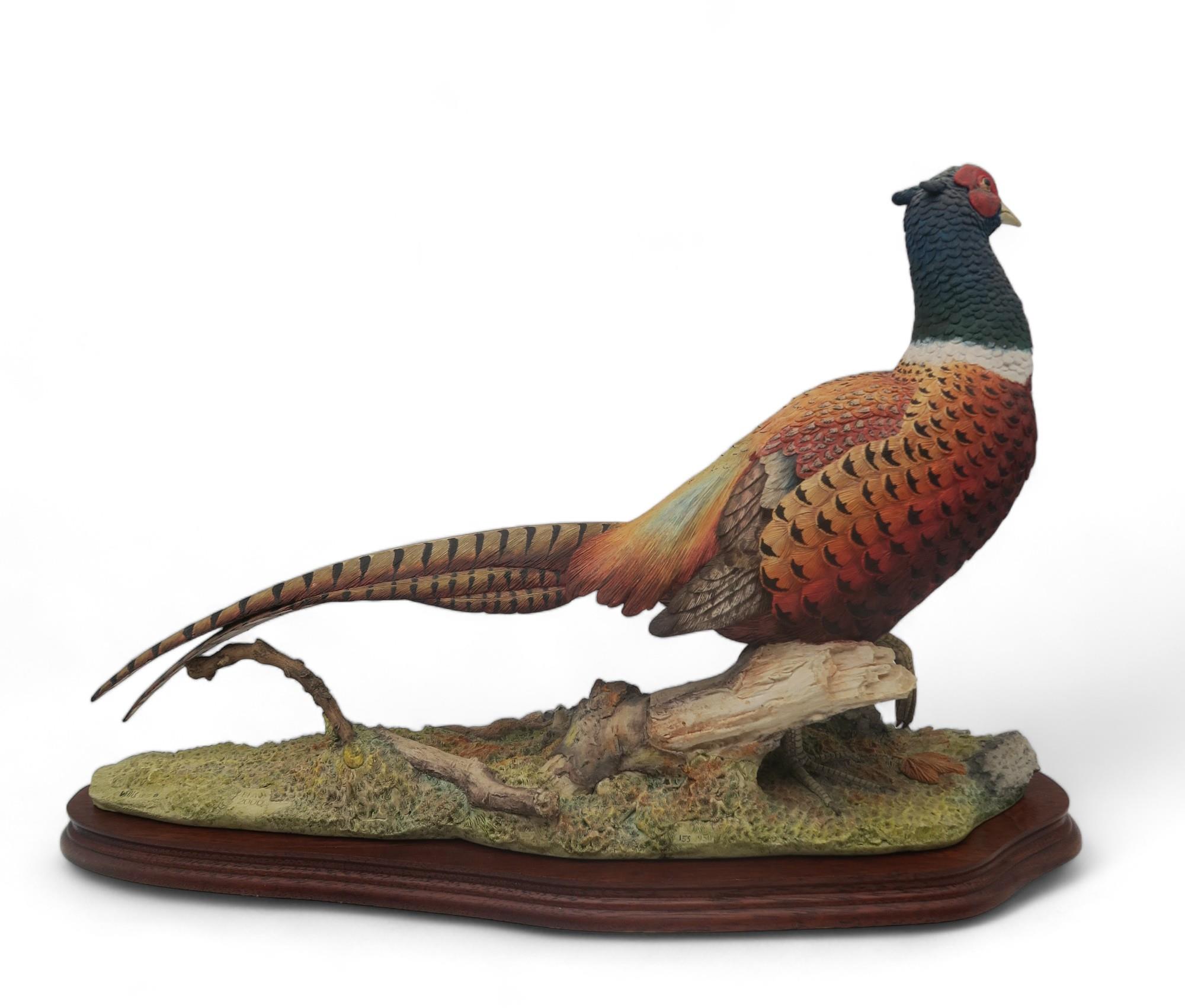 Two Border Fine Arts models of pheasants including Limited Edition Autumn Glory, no 155/950 by - Image 2 of 4